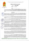 Vista preliminar de documento R A 68-2025-A-MDT