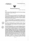 Vista preliminar de documento R.D. 0553-2025-DMID-DIRIS- LE-MINSA