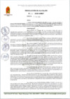 Vista preliminar de documento R A 72-2025-A-MDT