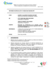 Vista preliminar de documento Informe de Especialista N° 00080-2025-SUNASSDRT