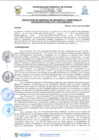 Vista preliminar de documento rgi211