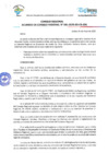 Vista preliminar de documento 041-2025-SO-CR-GRL