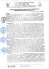 Vista preliminar de documento rgi210