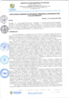 Vista preliminar de documento rgi170