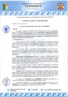 Vista preliminar de documento ACM-N°081-2025-cmpf