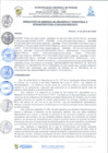 Vista preliminar de documento rgi225