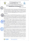 Vista preliminar de documento rgi231
