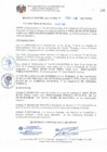Vista preliminar de documento RESOLUCION DE ALCALDIA N°101-2019-MCPSMH 