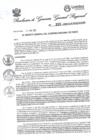 Vista preliminar de documento Resolución Gerencia General N° 335-2025