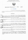 Vista preliminar de documento RD N° 793-2025