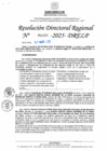 Vista preliminar de documento RDR N° 000958-2025-DRELP