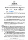 Vista preliminar de documento RDR N° 000957-2025-DRELP