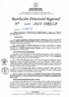 Vista preliminar de documento RDR N° 000956-2025-DRELP