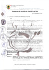 Vista preliminar de documento RESOLUCION DE ALCALDIA DE APROBACION N°026-2025