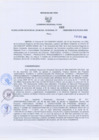 Vista preliminar de documento -525897196760663752