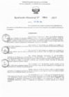 Vista preliminar de documento RD N° 800-2025