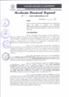 Vista preliminar de documento RDR 175-2025