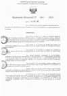 Vista preliminar de documento RD N° 801-2025
