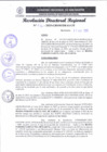 Vista preliminar de documento RDR 176-2025
