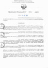 Vista preliminar de documento RD N° 803-2025