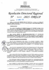 Vista preliminar de documento RDR N° 000955-2025-DRELP