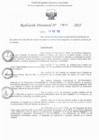 Vista preliminar de documento RD N° 805-2025