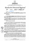 Vista preliminar de documento RDR N° 000954-2025-DRELP