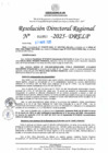 Vista preliminar de documento RDR N° 000953-2025-DRELP