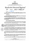 Vista preliminar de documento RDR N° 000952-2025-DRELP