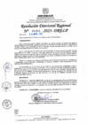 Vista preliminar de documento RDR N° 000951-2025-DRELP