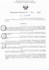 Vista preliminar de documento RD N° 807-2025