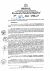 Vista preliminar de documento RDR N° 000950-2025-DRELP