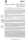 Vista preliminar de documento Resolución Gerencia General N° 308-2025