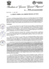 Vista preliminar de documento Resolución Gerencia General N° 310-2025