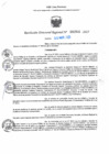 Vista preliminar de documento RDR N° 000946-2025-DRELP