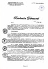 Vista preliminar de documento RD N° 536-2021-DG-DIRIS-LC