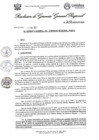 Vista preliminar de documento Resolución Gerencia General N° 312-2025