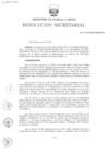 Vista preliminar de documento RS N° 033-2025-MINEM-SG