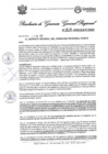 Vista preliminar de documento Resolución Gerencia General N° 316-2025