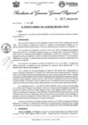 Vista preliminar de documento Resolución Gerencia General N° 317-2025