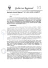 Vista preliminar de documento rgr-372-2025-gore-ica-grinf
