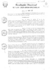 Vista preliminar de documento RD Nº 1101-2025-GRSM-DRE-UGEL-R IE Nº452