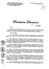 Vista preliminar de documento RD N° 557-2021-DG-DIRIS-LC