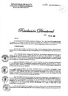 Vista preliminar de documento RD N° 561-2021-DG-DIRIS-LC