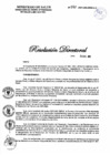 Vista preliminar de documento RD N° 563-2021-DG-DIRIS-LC