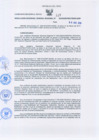 Vista preliminar de documento 1002100615702741526