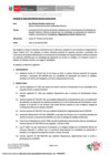 Vista preliminar de documento RD_100_2025_MINEM_DGAAM