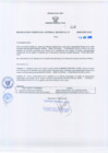 Vista preliminar de documento 3827683712940502670