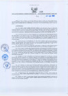 Vista preliminar de documento -4192195910544255359