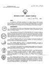 Vista preliminar de documento RD N°226-2025-HNCH-DG-1-40